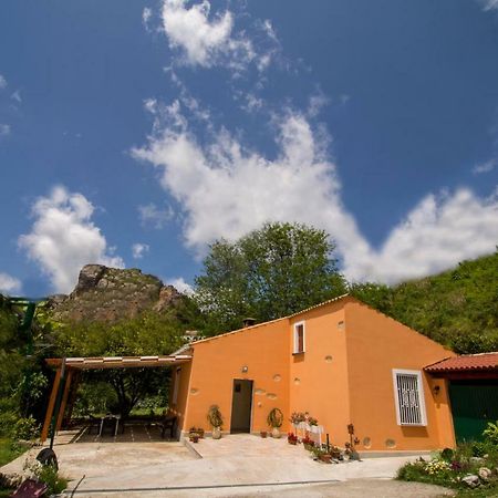 B&B Casa Vacanze Benvenuti Al Sud Aiello Calabro Eksteriør bilde