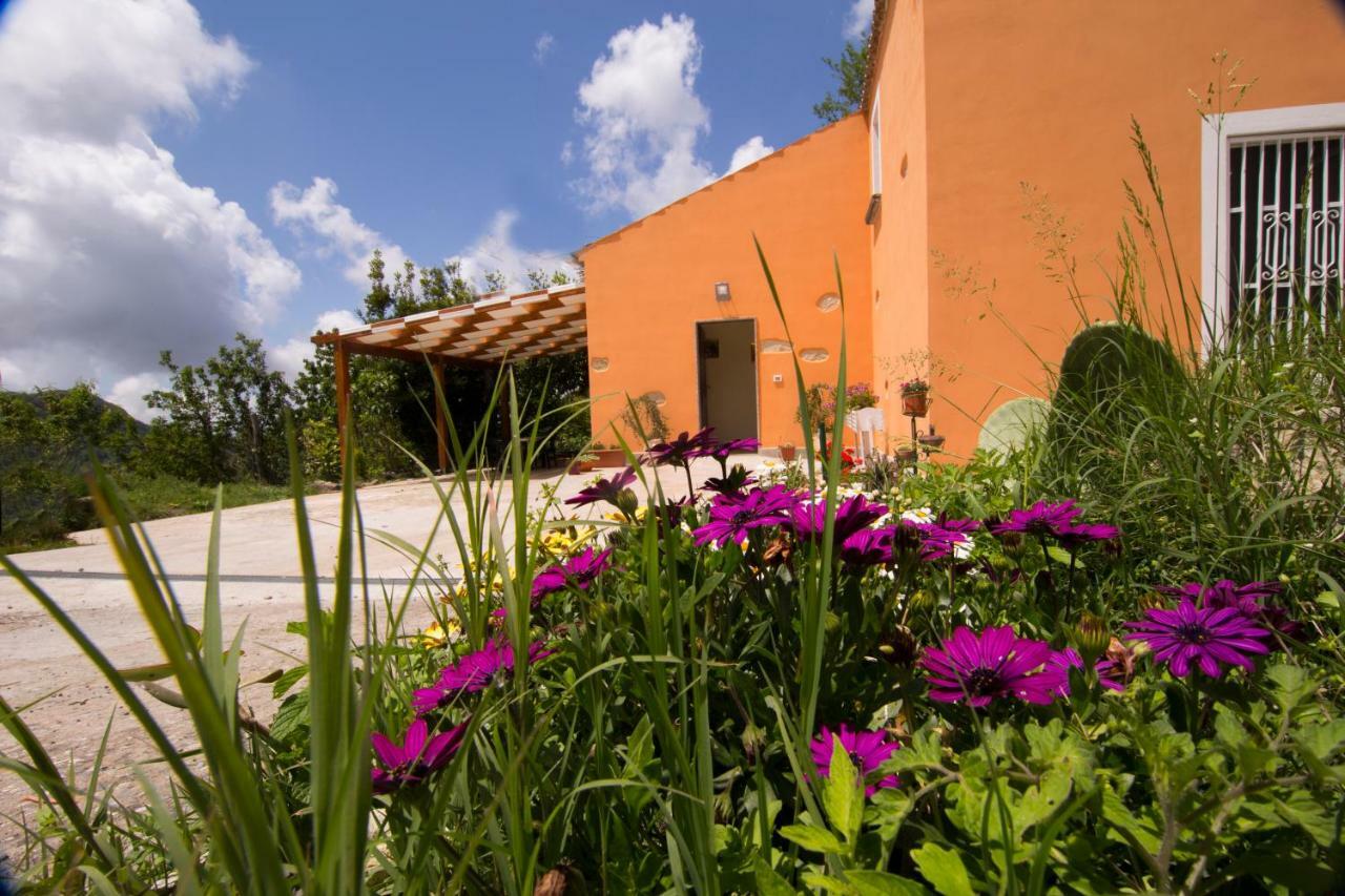 B&B Casa Vacanze Benvenuti Al Sud Aiello Calabro Eksteriør bilde